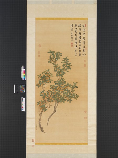 清蔣廷錫桂花　軸