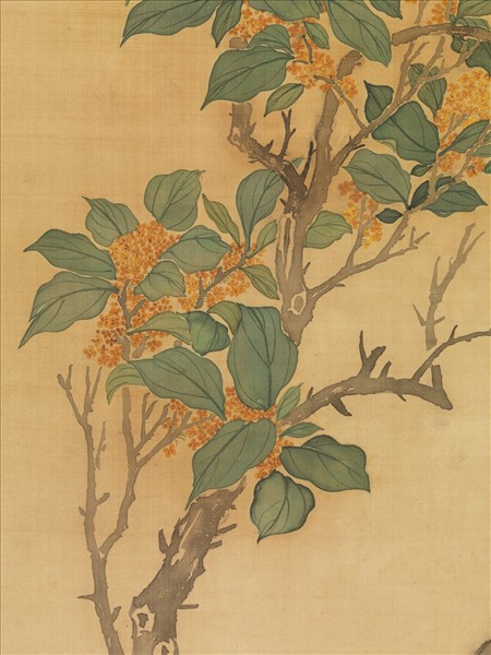 清蔣廷錫桂花　軸