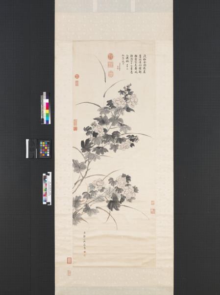 清鄒一桂畫芙蓉　軸