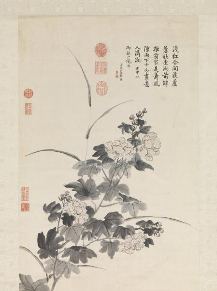 清鄒一桂畫芙蓉　軸