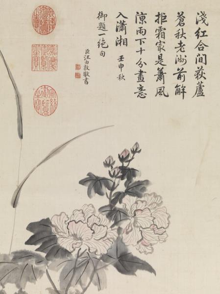 清鄒一桂畫芙蓉　軸