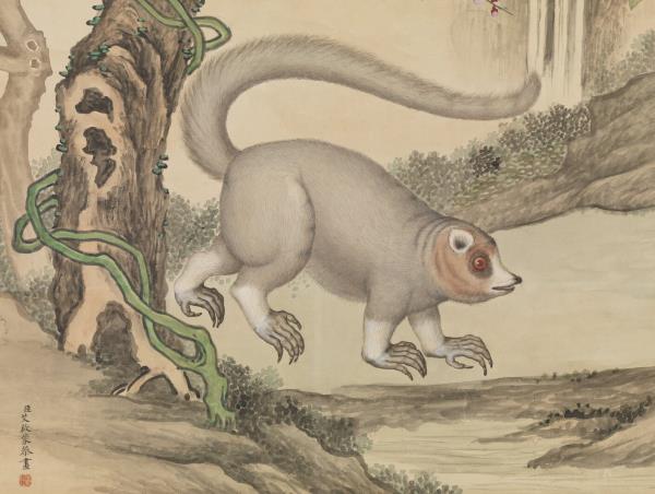 清艾啟蒙畫山貓　軸