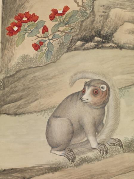 清艾啟蒙畫山貓　軸