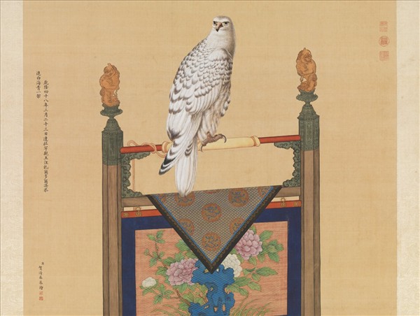 清賀清泰畫白海青　軸