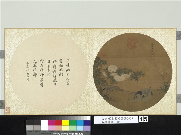 名繪薈萃　冊　宋王曉花貍