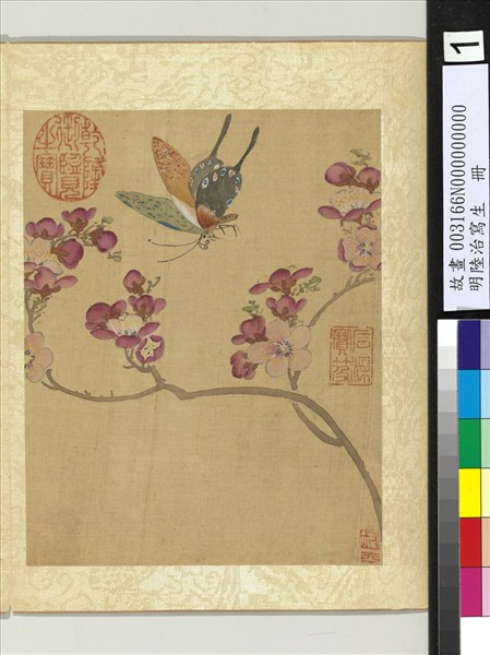 明陸治寫生　冊　杏花蝶蛾