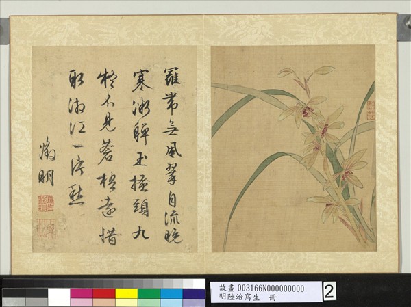 明陸治寫生　冊　寫意蘭花