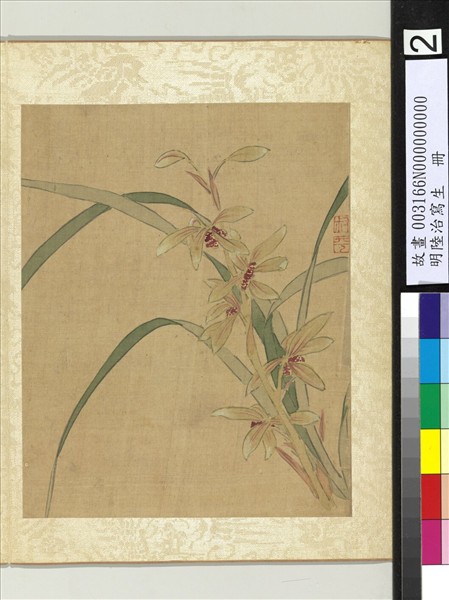 明陸治寫生　冊　寫意蘭花