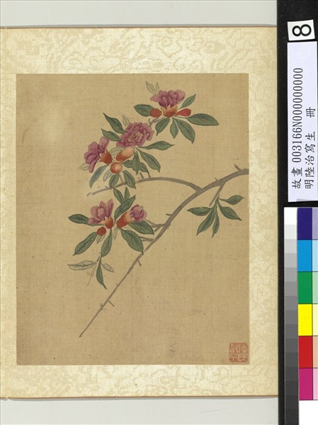 明陸治寫生　冊　石榴花開