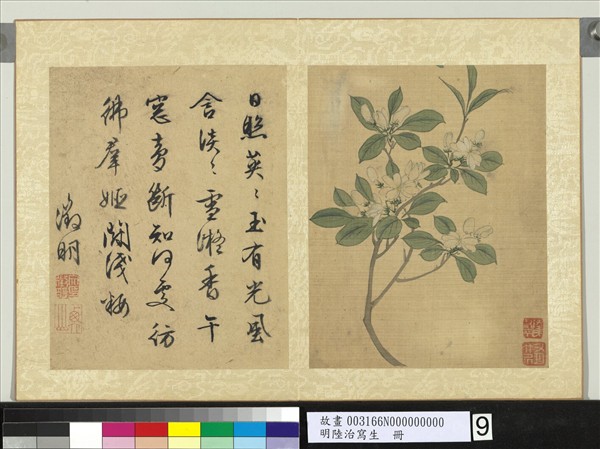 明陸治寫生　冊　花香蓊鬱