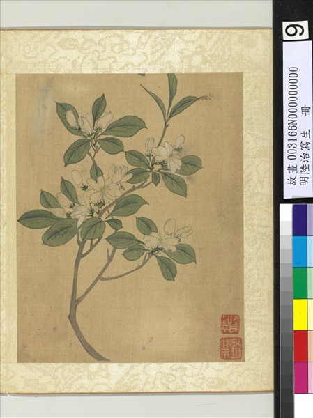 明陸治寫生　冊　花香蓊鬱