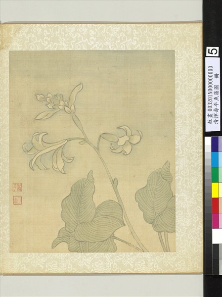 清惲壽平魚藻圖　冊　玉簪花