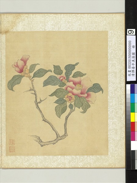 清惲壽平魚藻圖冊茶花- 故宮