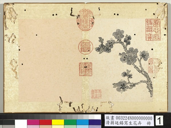 清蔣廷錫寫生花卉　冊　杏花