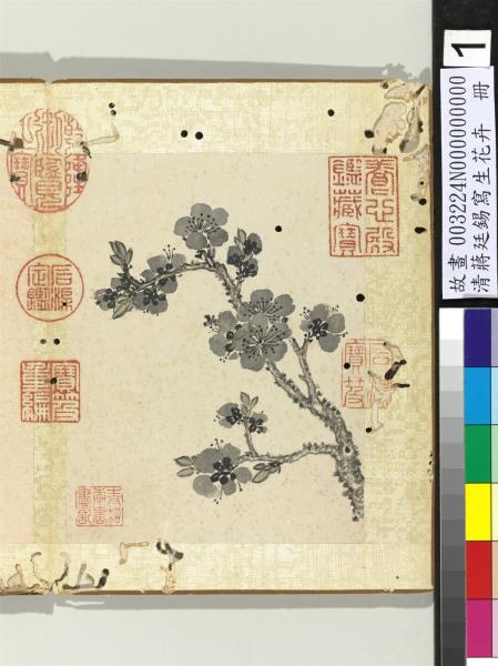 畫幅集冊冊清蔣廷錫花卉- 故宮