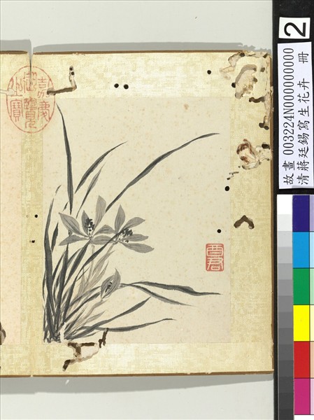 清蔣廷錫寫生花卉　冊　蘭花