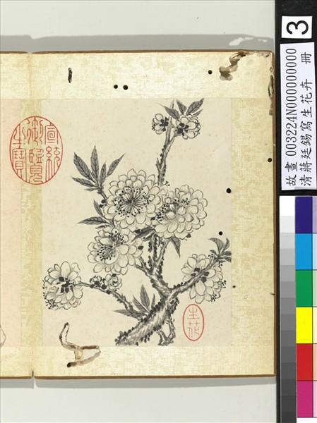 清蔣廷錫寫生花卉　冊　碧桃