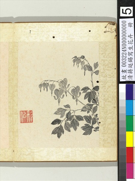 清蔣廷錫寫生花卉　冊　魚兒牡丹