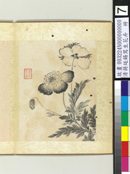 清蔣廷錫寫生花卉冊蘭花- 故宮