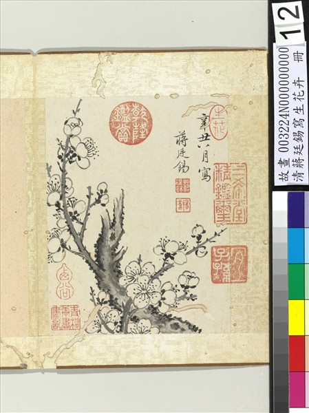 清蔣廷錫寫生花卉　冊　梅花