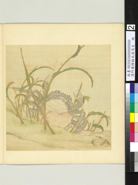 清阿爾粺臨仇英寫生　冊　蟹蛙