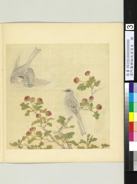 清阿爾粺臨仇英寫生　冊　雙鳥