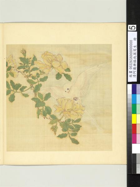 清阿爾粺臨仇英寫生　冊　月季燕