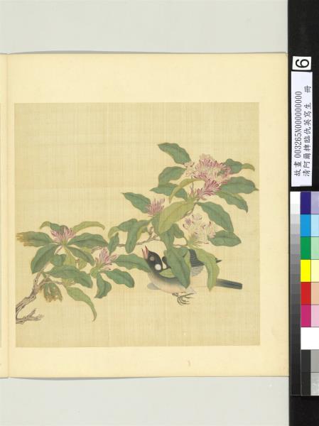 清阿爾粺臨仇英寫生　冊　花鳥