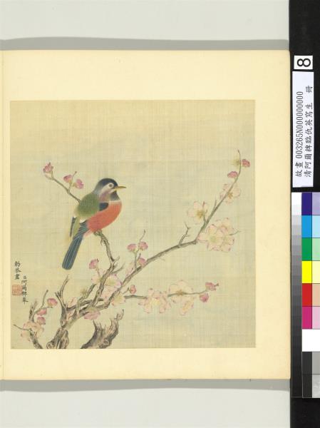 清阿爾粺臨仇英寫生　冊　杏花鳥