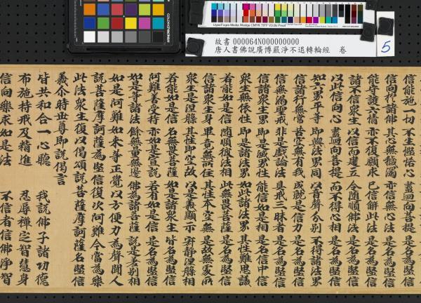 唐人書佛說廣博嚴淨不退轉輪經　卷