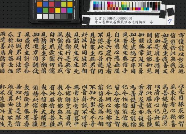 唐人書佛說廣博嚴淨不退轉輪經　卷