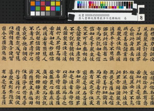 唐人書佛說廣博嚴淨不退轉輪經　卷