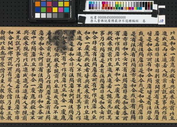 唐人書佛說廣博嚴淨不退轉輪經　卷