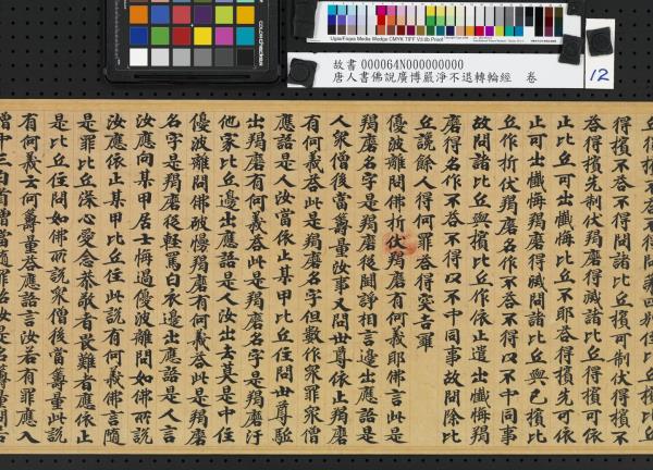 唐人書佛說廣博嚴淨不退轉輪經　卷