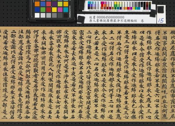 唐人書佛說廣博嚴淨不退轉輪經　卷