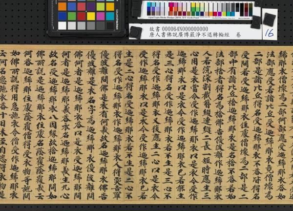 唐人書佛說廣博嚴淨不退轉輪經　卷