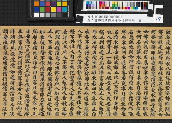 唐人書佛說廣博嚴淨不退轉輪經　卷