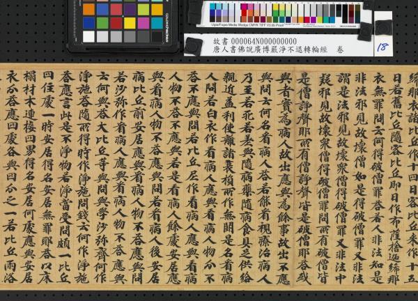 唐人書佛說廣博嚴淨不退轉輪經　卷