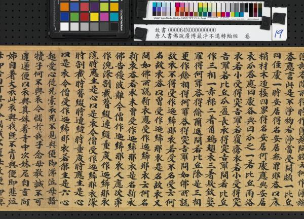 唐人書佛說廣博嚴淨不退轉輪經　卷