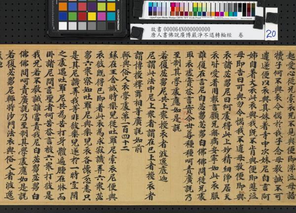 唐人書佛說廣博嚴淨不退轉輪經　卷