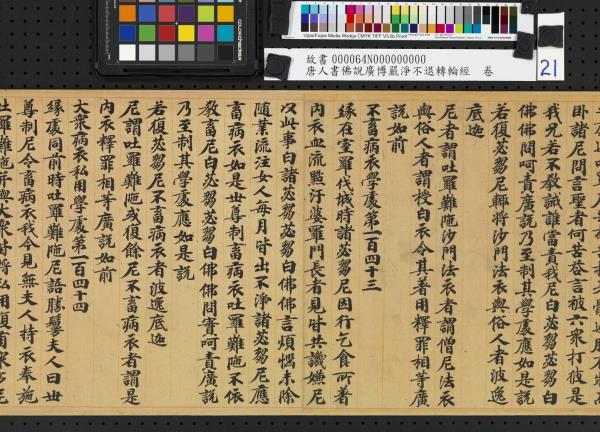 唐人書佛說廣博嚴淨不退轉輪經　卷