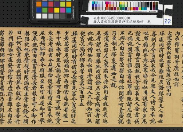 唐人書佛說廣博嚴淨不退轉輪經　卷