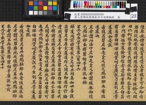 唐人書佛說廣博嚴淨不退轉輪經　卷