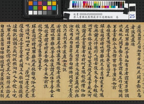 唐人書佛說廣博嚴淨不退轉輪經　卷