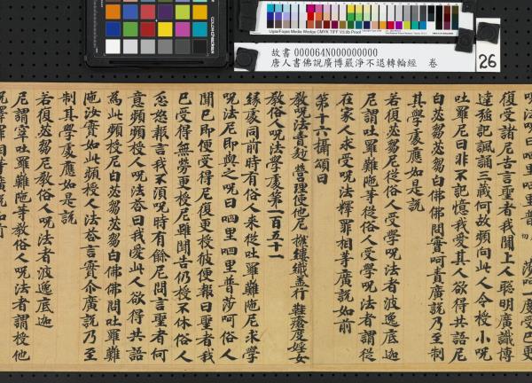 唐人書佛說廣博嚴淨不退轉輪經　卷