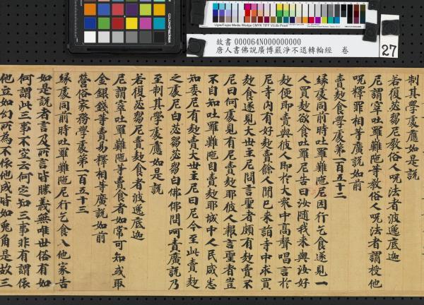 唐人書佛說廣博嚴淨不退轉輪經　卷