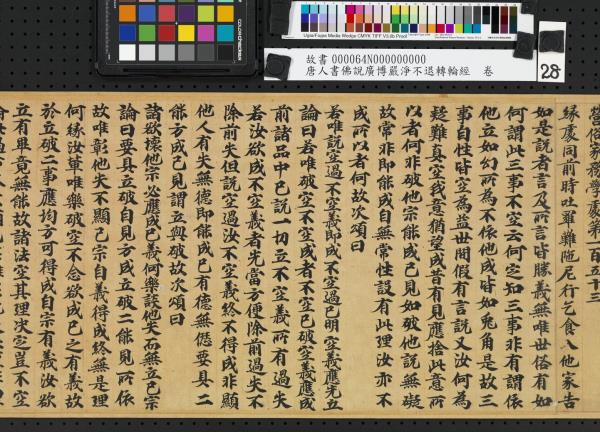 唐人書佛說廣博嚴淨不退轉輪經　卷