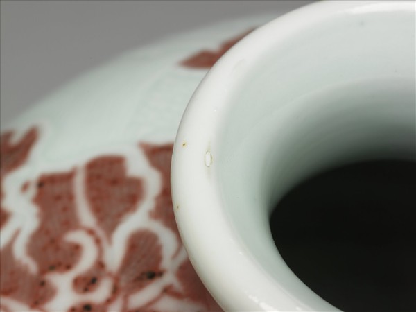 釉裡紅波濤白龍紋梅瓶