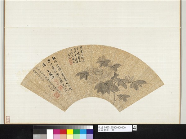 花卉畫冊　冊　明王縠祥芙蓉