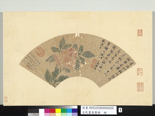 文氏畫扇集冊　冊　明文徵明牡丹